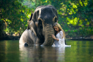 코끼리, 소녀, 물 속에서