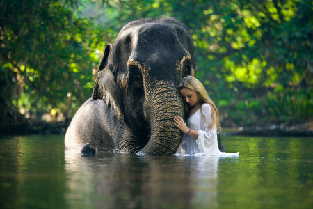 象, 女の子, 水中で