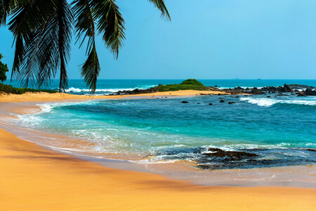 地平线, 棕榈树, 砂, 海, 岸, 石头, 冲浪, 热带