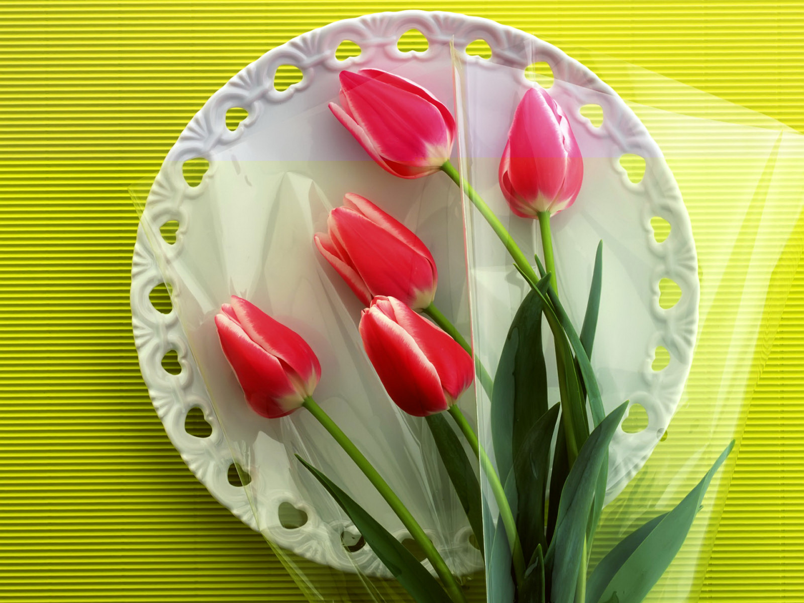 Cuộc sống tĩnh lặng, những bông hoa, Hoa tulip, đĩa, khăn trải bàn