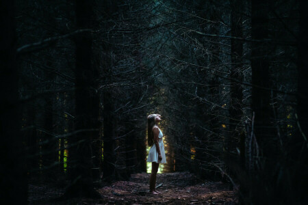 一人で, ドレス, 森林, 女の子