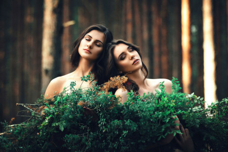 森林, ともだち, 二人の女の子