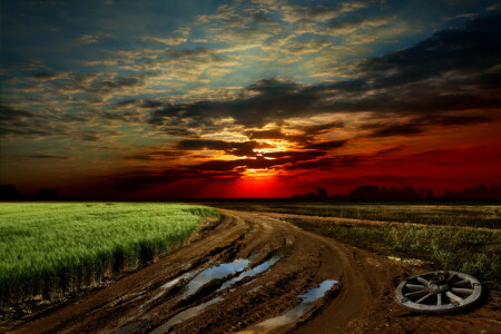 泥, フィールド, 草, 風景, 自然, 道路, 空, 日没
