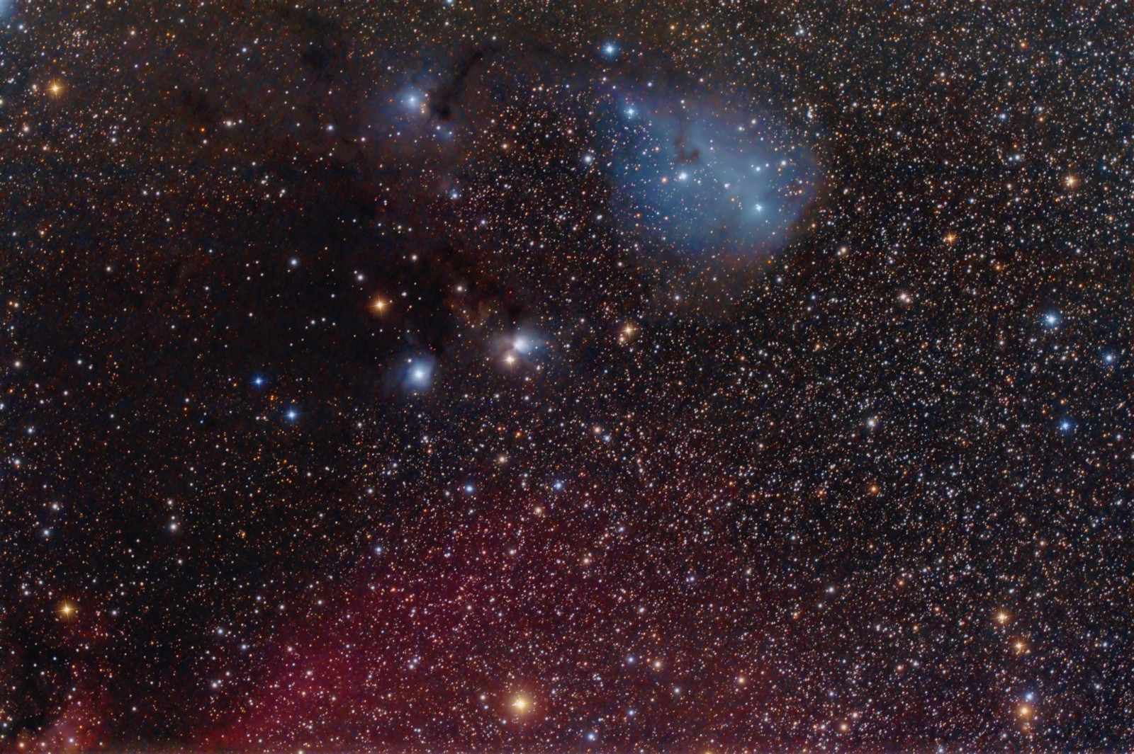 星云, 独角兽, 在星座中, 反光的, IC 447