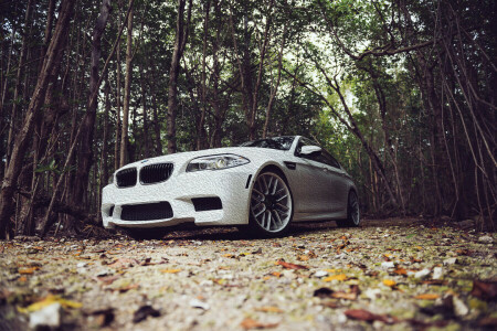 BMW, F10, 葉, チューニング, 白い
