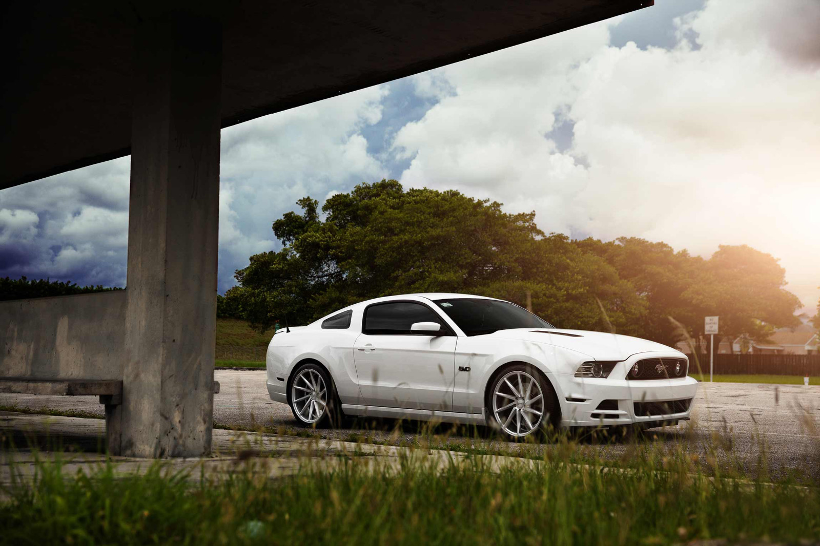 xe hơi, Mustang, Ford, trắng, cơ bắp, mặt trời, Trước mặt, bánh xe