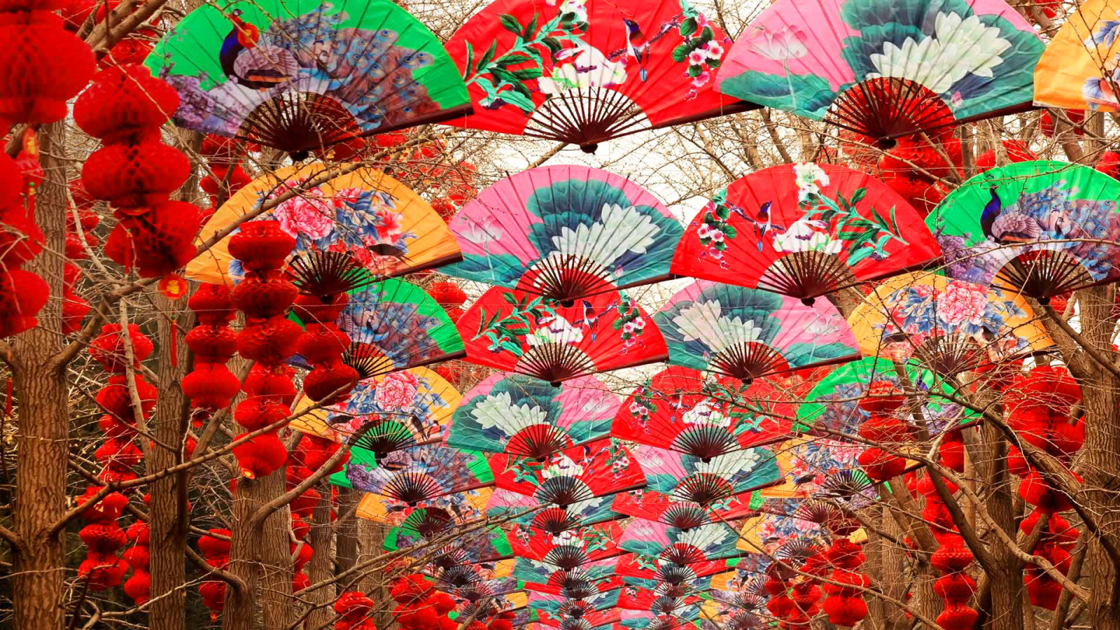 pohon, kipas, Cina, lentera, Beijing, Festival Musim Semi