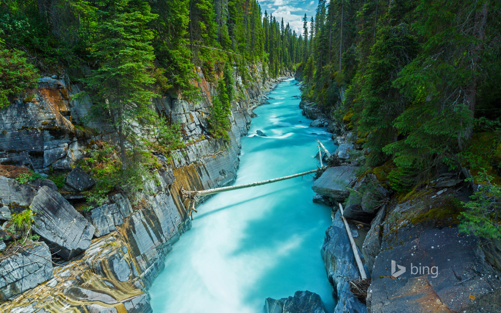 森林, 河, 加拿大, 岩石, 国家公园, 不列颠哥伦比亚省, NUMA瀑布