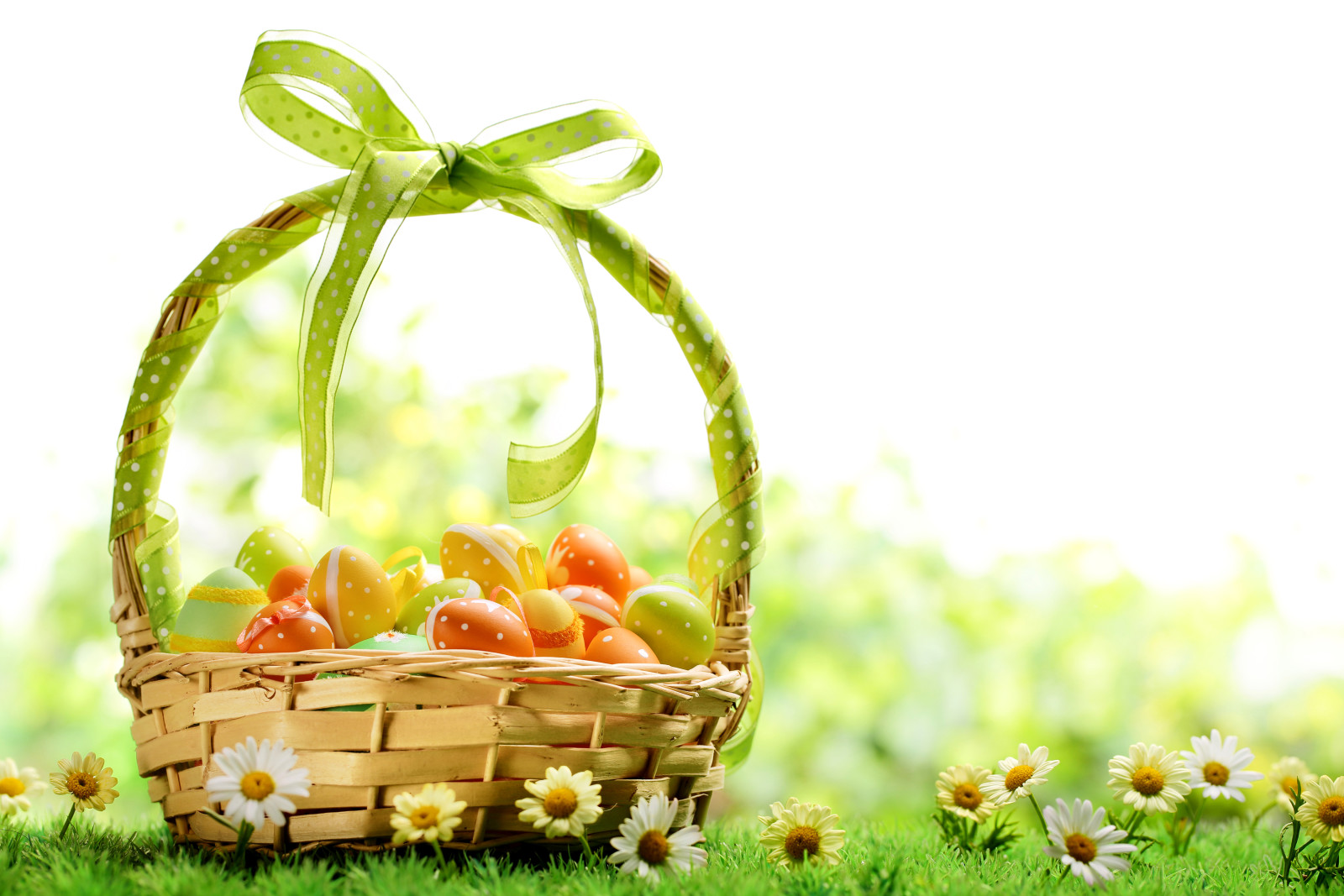 rumput, telur, musim semi, kamomil, keranjang, Paskah