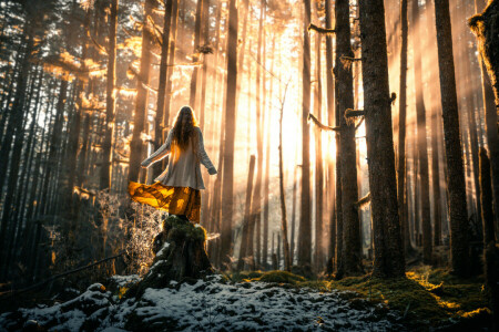 森林, 女の子, リジー・ガッド, 雪, 太陽