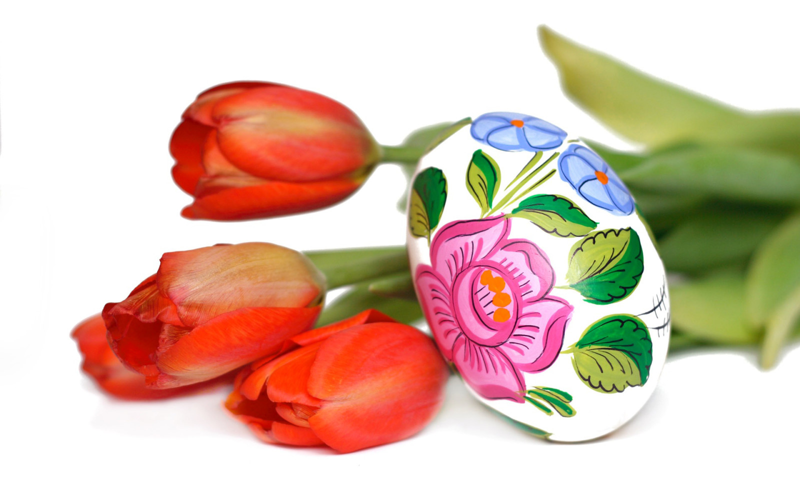 telur, bunga-bunga, Paskah, Bunga tulp, Pysanka, Minggu