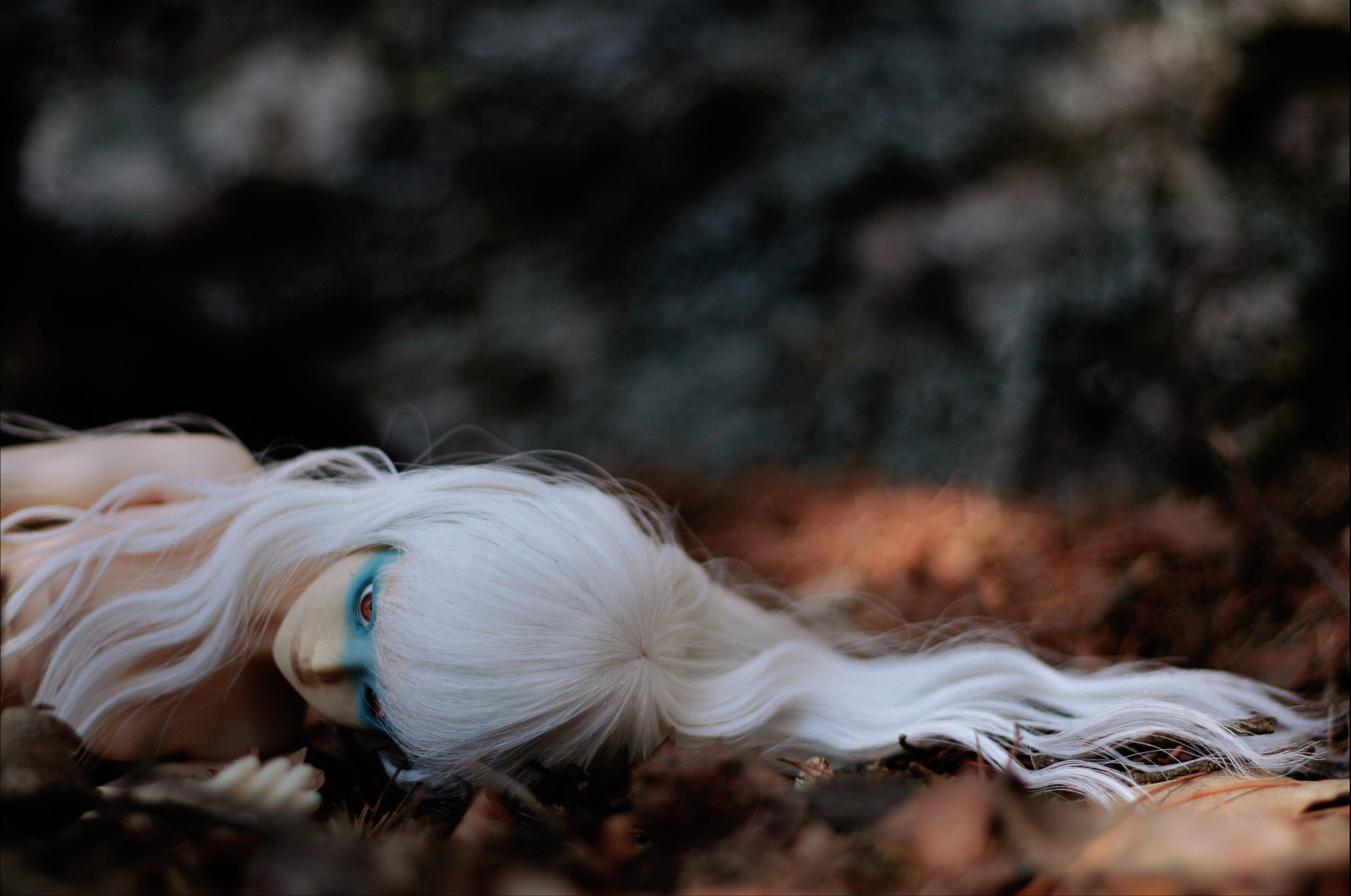 秋季, 白色的头发, 娃娃