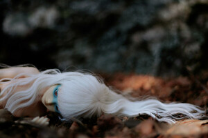 musim gugur, boneka, rambut putih