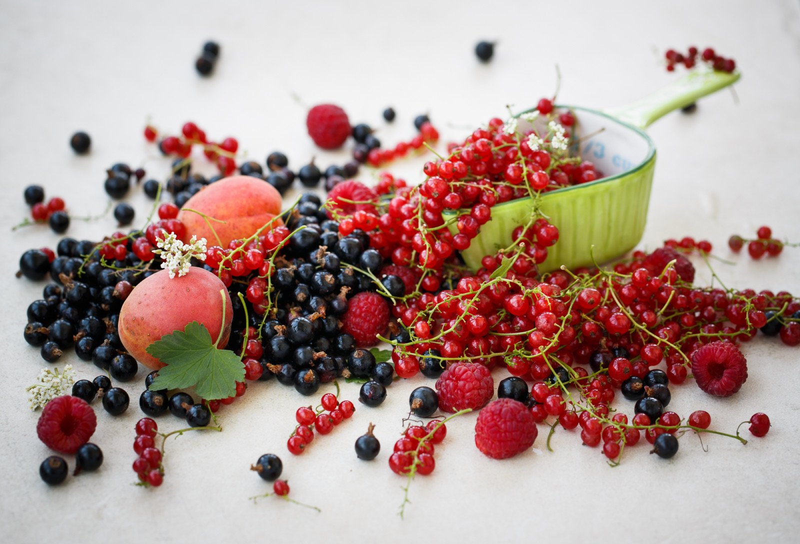 đen, màu đỏ, món ăn, quả mọng, dâu rừng, quả mơ, trái cây, cây phúc bồn tử
