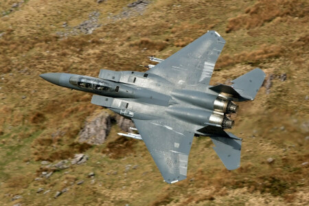 鷲, F-15E, 戦士, フライト, パイロット
