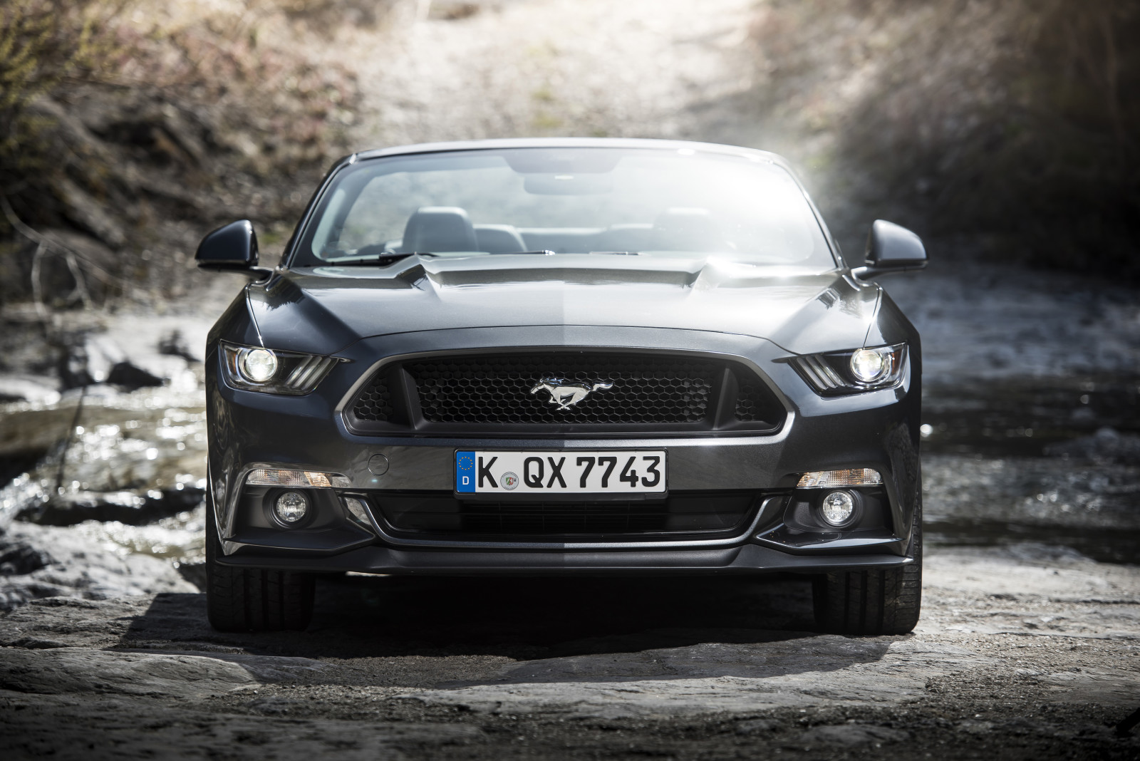 Mustang, Mengarungi, mobil atap terbuka, 2015, EU-spec