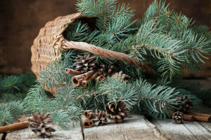 바구니, 가지, 범프, 크리스마스, 새해, 나무