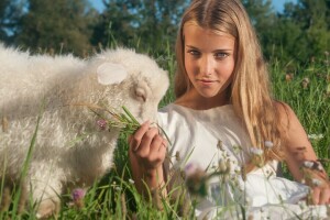 con gái, cừu, mùa hè