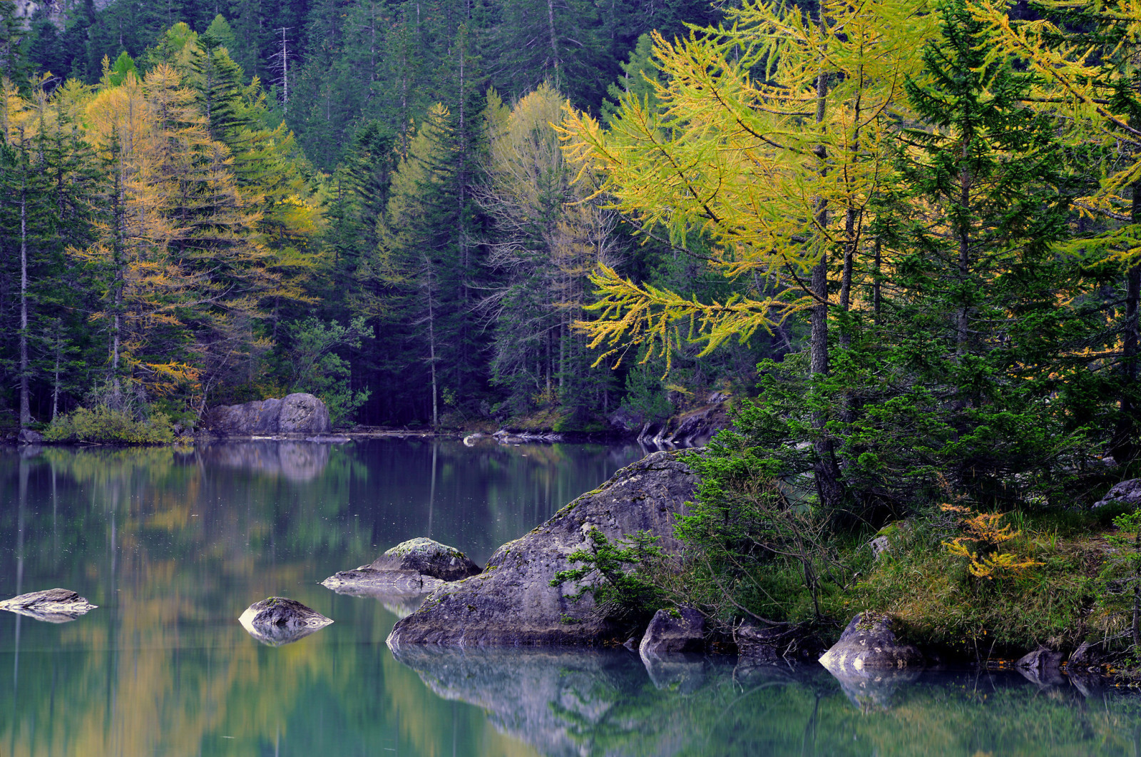 musim gugur, hutan, danau, batu, pohon, gunung