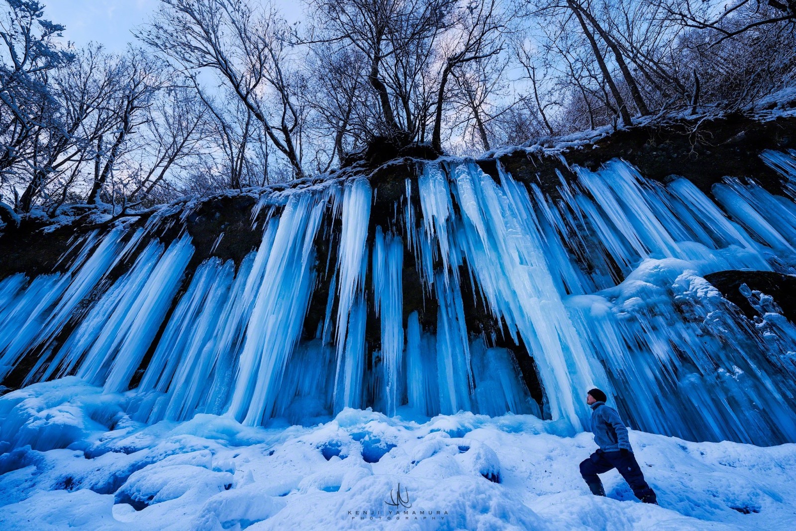 tuyết, cây, Mọi người, nhiếp ảnh gia, Kenji Yamamura, cột băng