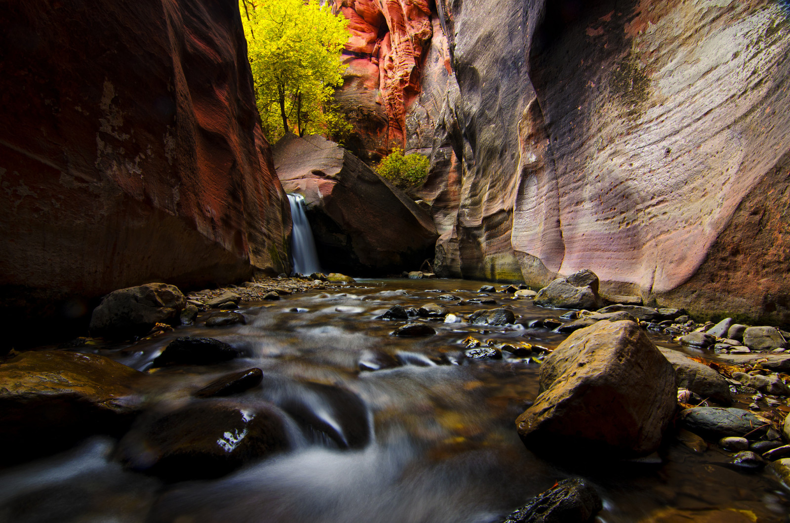 sungai, batu, pohon, Utah, Amerika Serikat, Taman Nasional Zion, batu, aliran