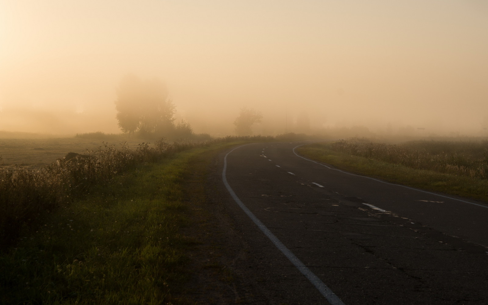 Thiên nhiên, đường, cánh đồng, buổi sáng, sương mù