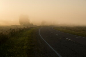 领域, 多雾路段, 早上, 自然, 路