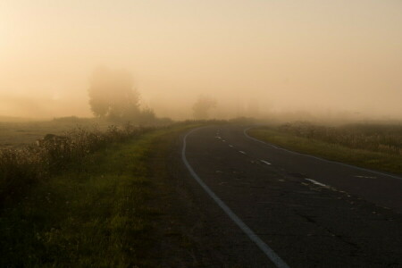 フィールド, 霧, 朝, 自然, 道路