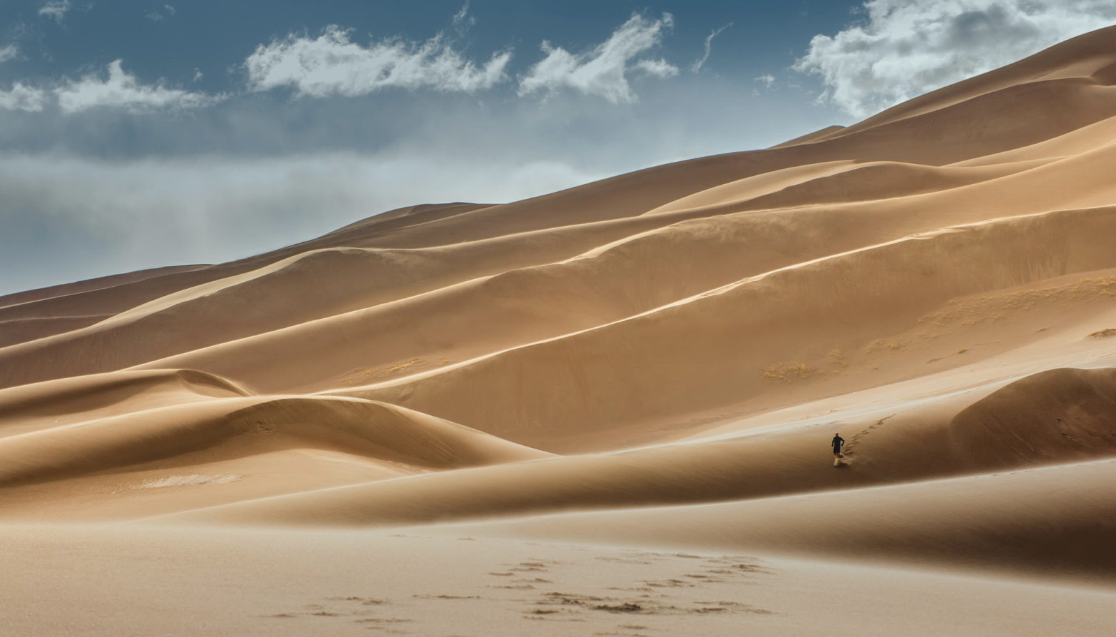 사막, 사람들, 모래