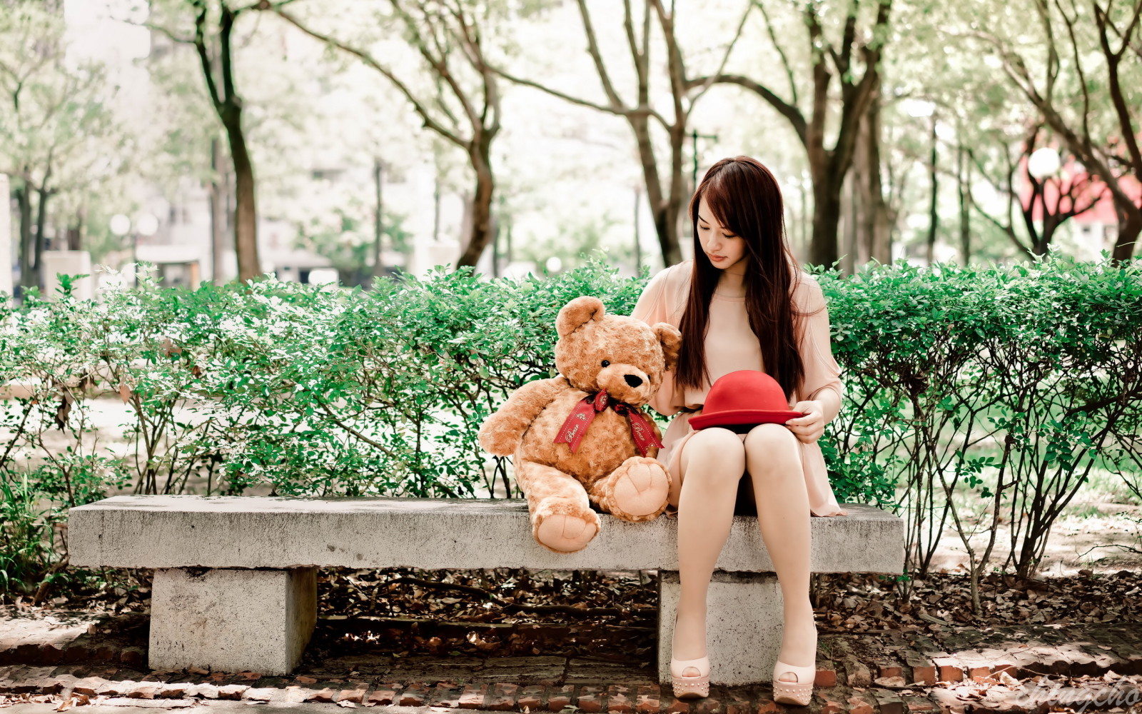 女孩, 熊, 板凳
