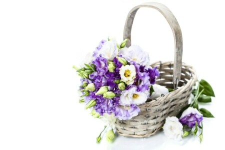 フラワーズ, 花びら, 紫の花