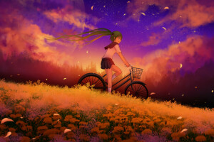 애니메이션, 미술, 자전거, 구름, 꽃들, 소녀, 하츠네 미쿠, 꽃잎