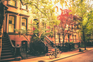 자전거, 집, 뉴욕, 거리, 태양, 나무