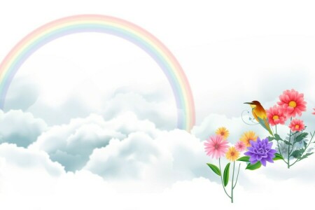 アート, 鳥, 雲, フラワーズ, 虹, ベクトル描画