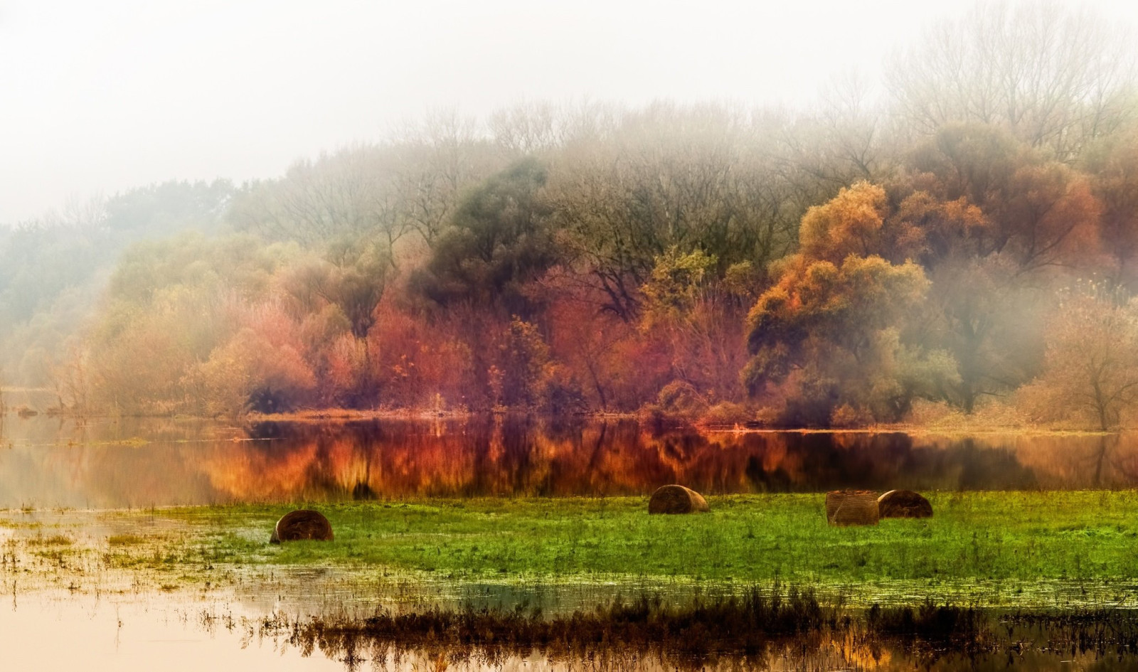 mùa thu, rừng, phong cảnh, tán lá, ao, nhiếp ảnh gia, Tomas Hauk