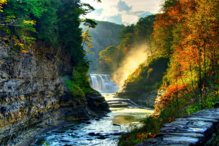 秋, 美しさ, カスケード, にとって, 森林, 川, 岩, 石