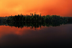 森林, 湖, 反射, スウェーデン