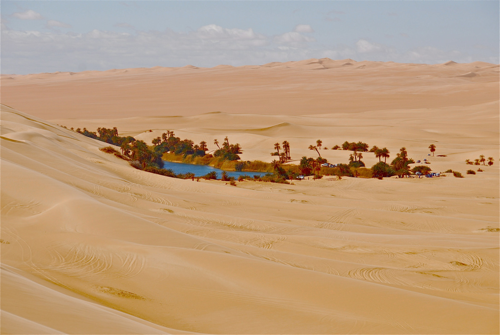 家, 砂漠, 砂, パルマ, オアシス