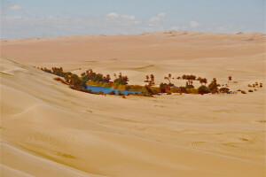 사막, 집, 오아시스, 팔마, 모래