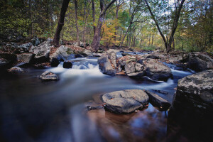 가을, 숲, 강, 돌, 흐름