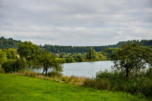 Ellscheid, nước Đức, cỏ, hồ, Thiên nhiên, hình chụp, bụi cây