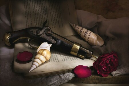 sách, súng, cánh hoa, Hoa hồng, vỏ, Cuộc sống tĩnh lặng, kết cấu
