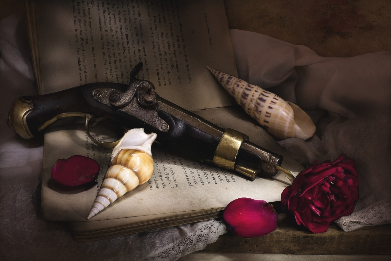 Cuộc sống tĩnh lặng, kết cấu, Hoa hồng, sách, cánh hoa, vỏ, súng