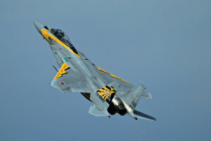 독수리, F-15, 전투기