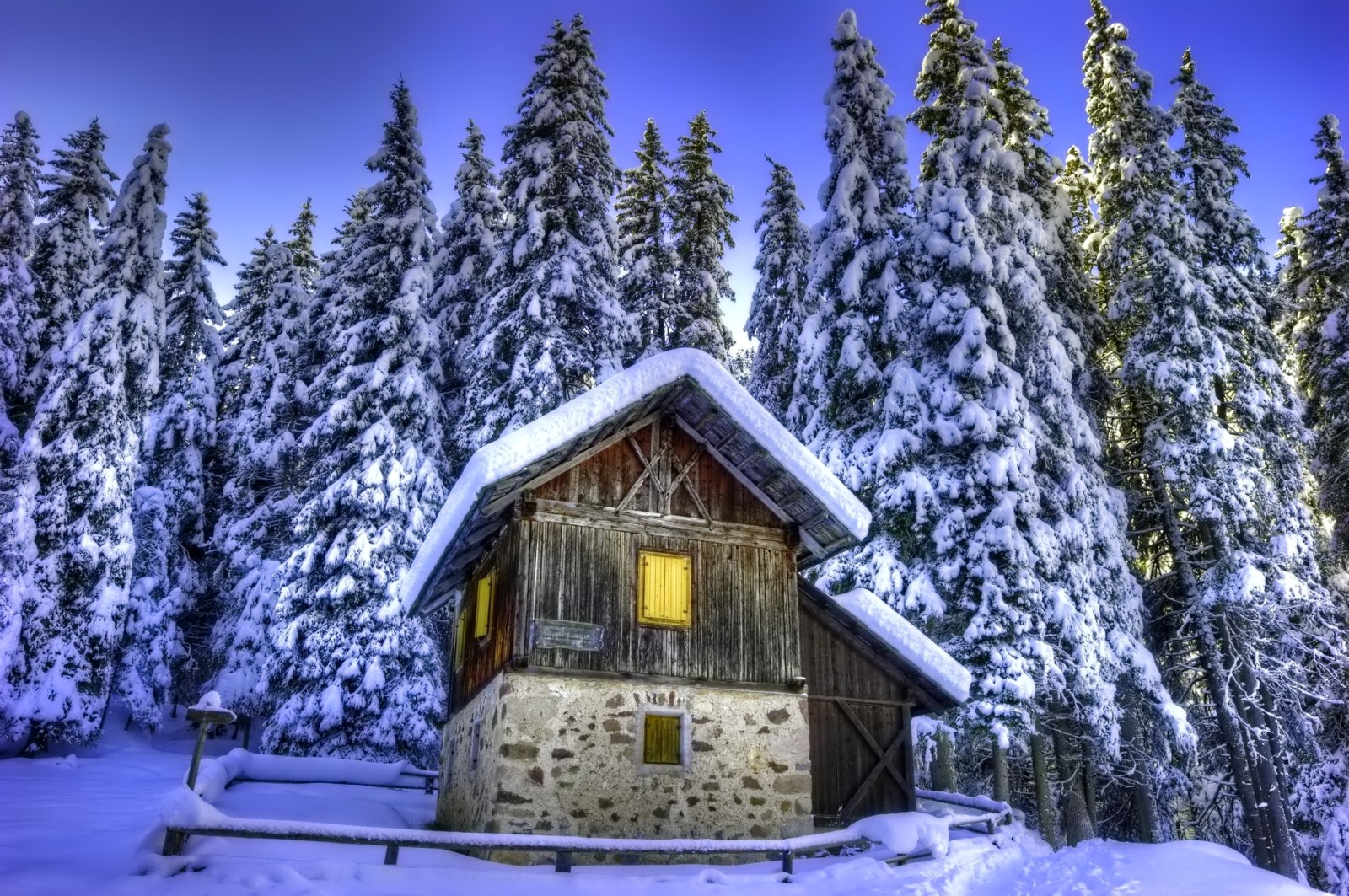 雪, 自然, 屋, 冬季, 树木, 云杉