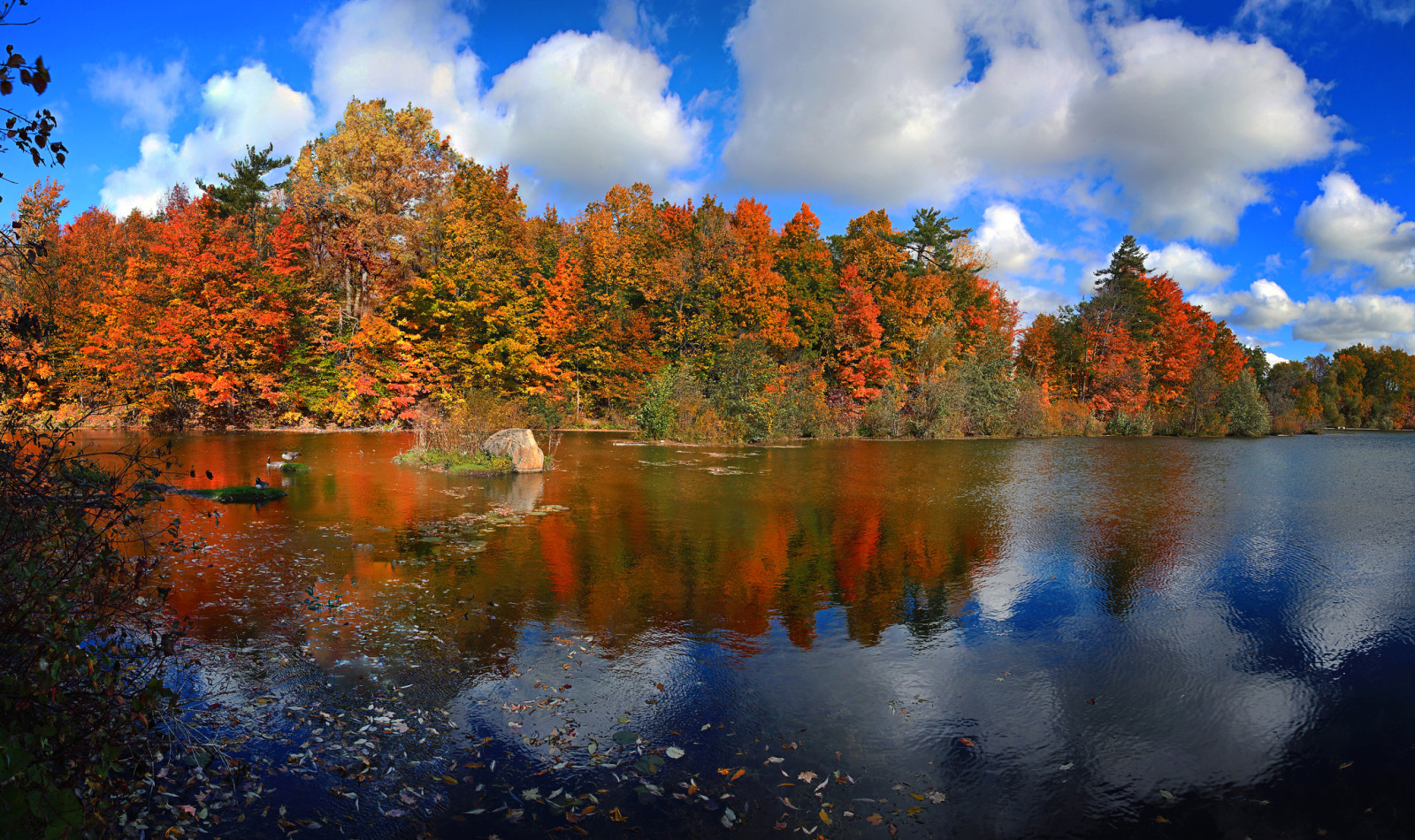 秋, 森林, 空, 湖, 木, カナダ, 雲, 葉