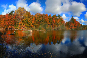 가을, 캐나다, 구름, 숲, 호수, 이파리, 온타리오, 페인트