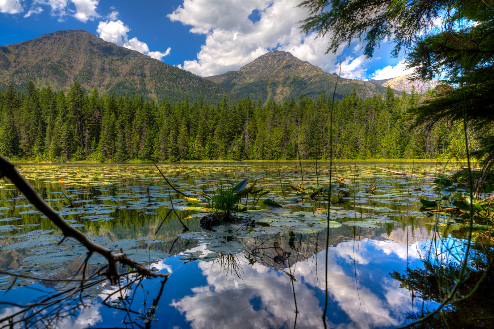 rừng, bầu trời, hồ, cây, những đám mây, núi, Hoa Kỳ, Montana