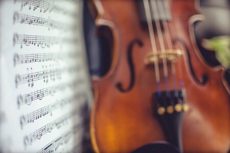 音楽, ノート, バイオリン