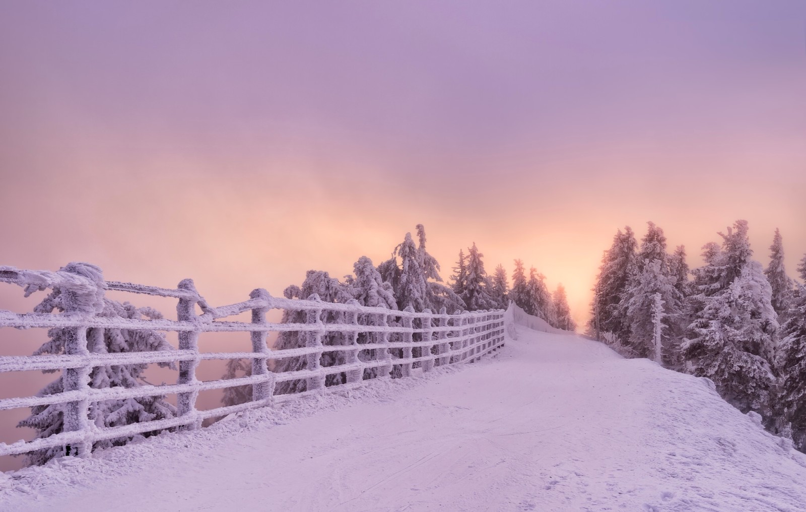 雪, 日没, 冬, 道路, 木, フェンス, ルーマニア, ブラショブ